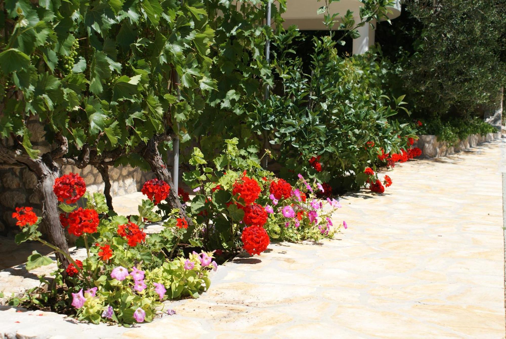 Apartments Jurjevic Petrcane Ngoại thất bức ảnh