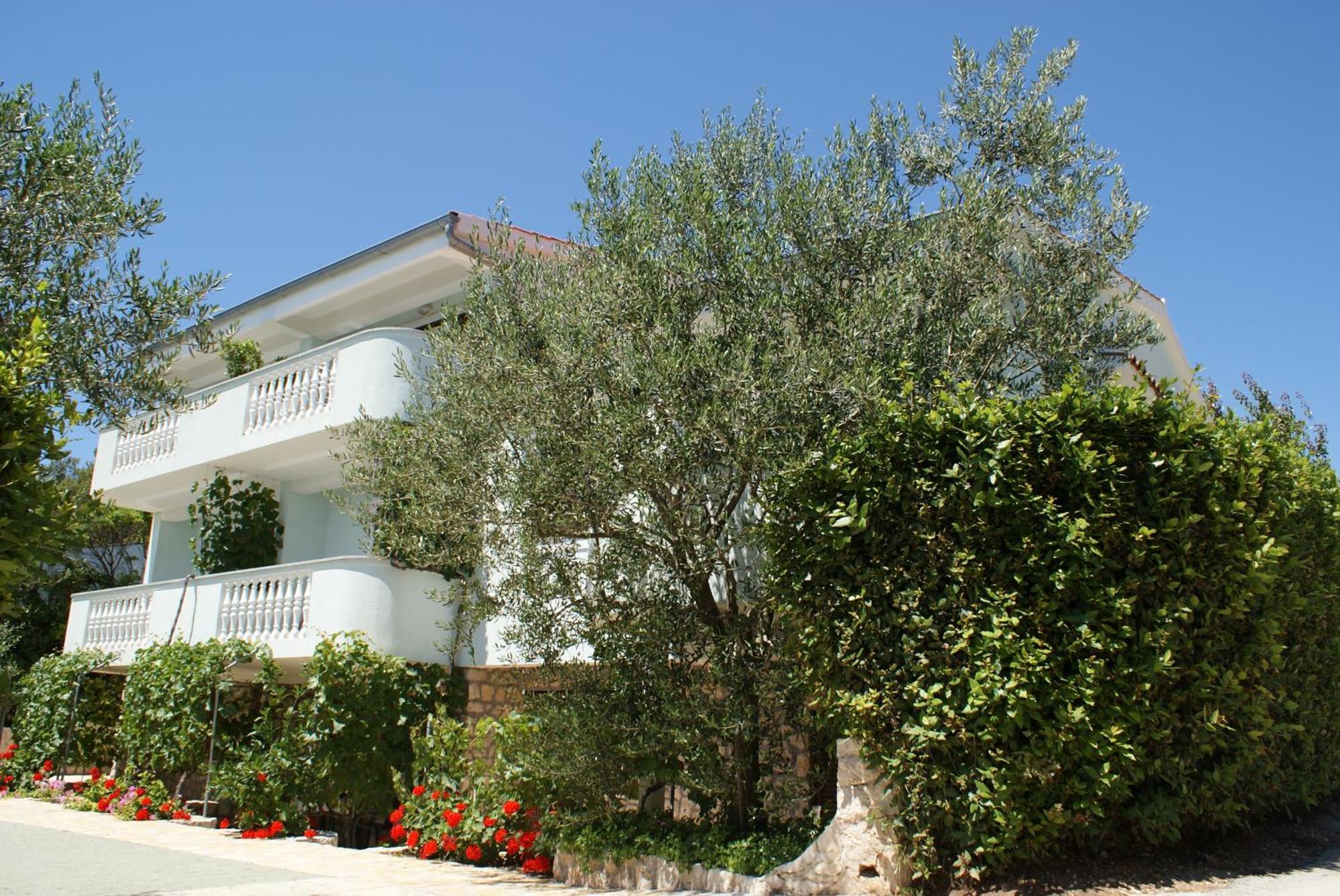 Apartments Jurjevic Petrcane Ngoại thất bức ảnh